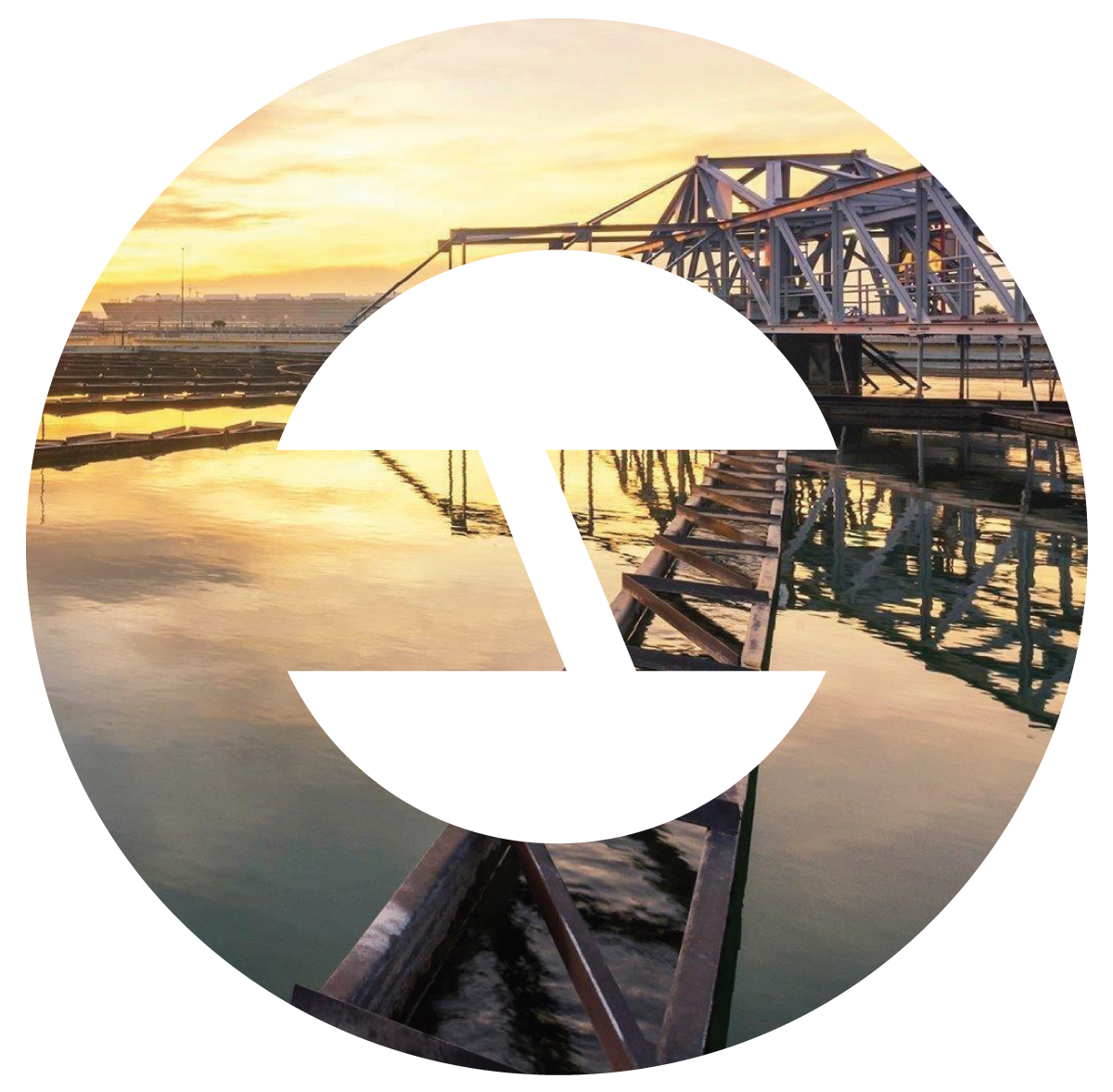 logo_foto